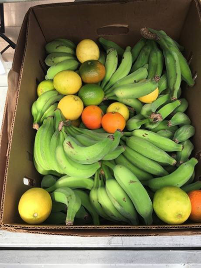 Food Bank