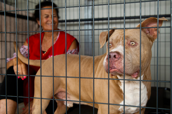 A woman sitting in a cage with a dog.
